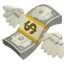 Money Icon